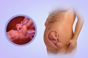 36 Неделя беременности. развитие плода и ощущения на 36 неделе беременности.