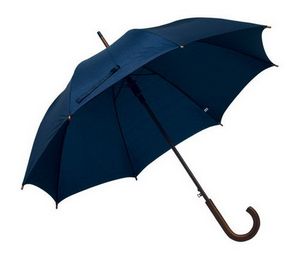 Бизнес-сувенир — зонт