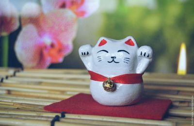 Кошка манэки нэко: талисман удачи из японии