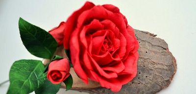 Мастер класс: галльская роза из фоамирана