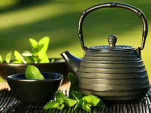 Можно ли кормящим чай: его польза и вред для здоровья. можно ли кормящим женщинам зеленый чай с молоком для усиления лактации