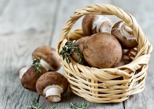 Можно ли кормящим грибы и как они влияют на организм? можно ли кормящим грибы и чем они могут быть опасны