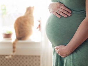 Токсоплазмоз при беременности: а нужно ли лечение? способы диагностики токсоплазмоза при беременности, его опасность